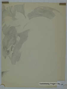 1050275