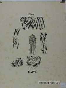 1060672