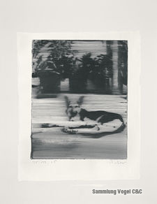 Richter Z 0302831-TITEL130