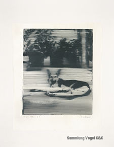 Richter Z 0302831-TITEL130x
